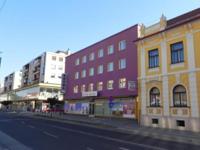 Hotel Zvezda